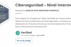 INSIGNIA